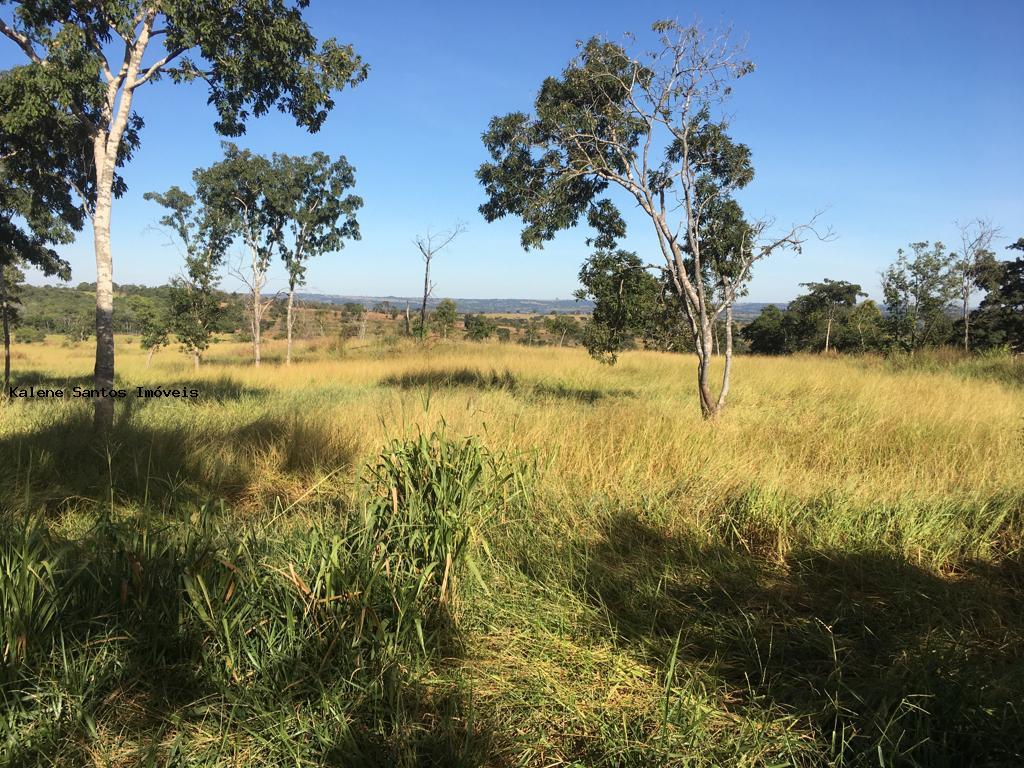 Chácara à venda - Foto 5