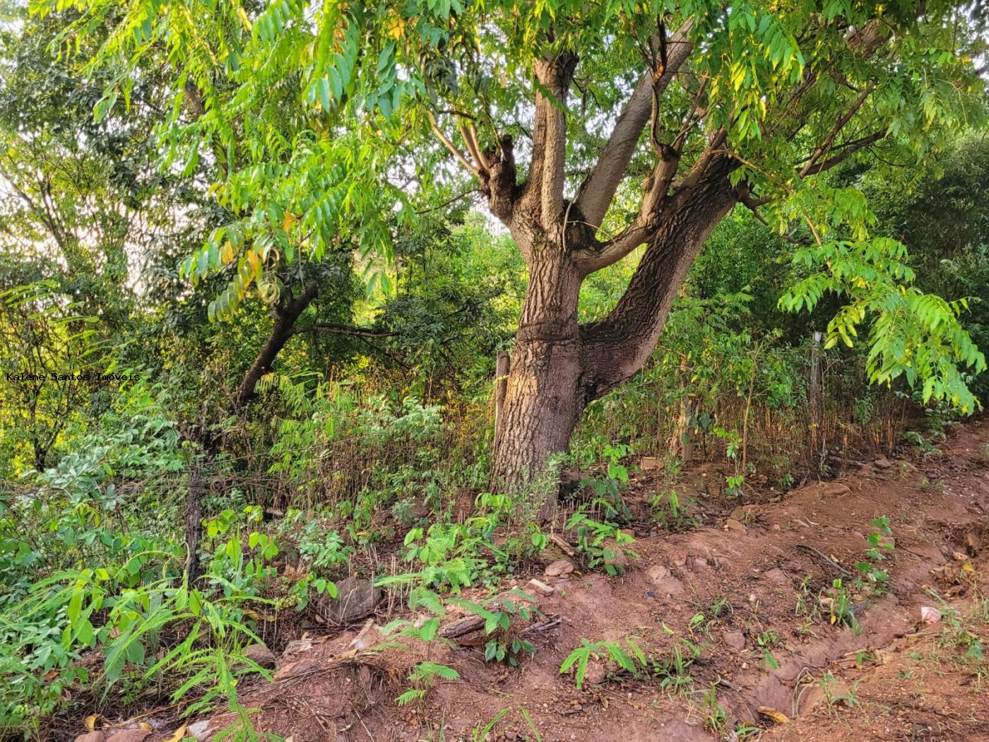 Chácara à venda, 2000m² - Foto 19