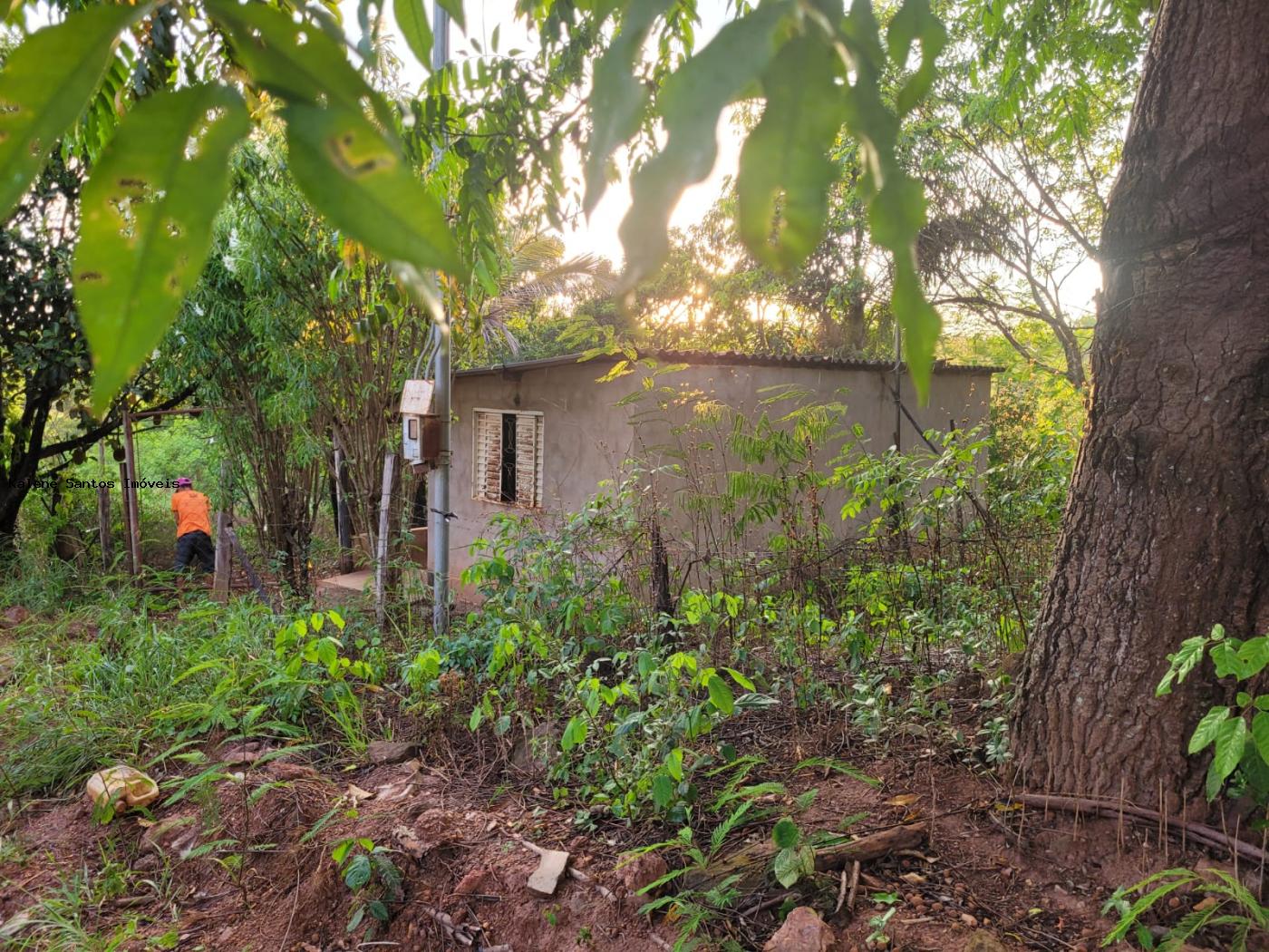 Chácara à venda, 2000m² - Foto 17