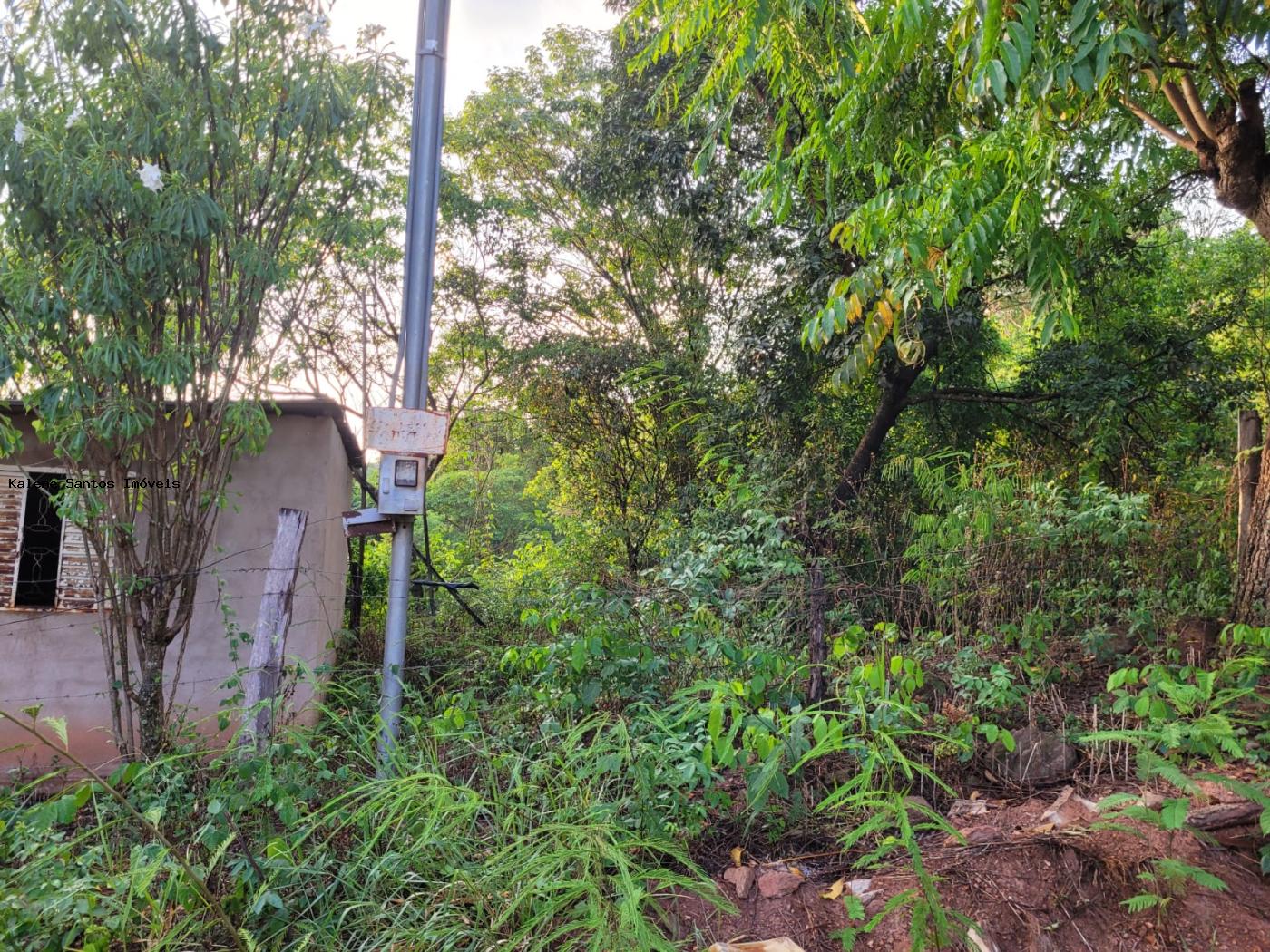 Chácara à venda, 2000m² - Foto 20