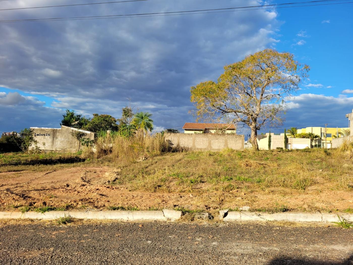 Terreno à venda - Foto 4